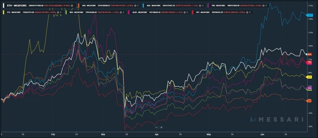 Cardano surge 2020