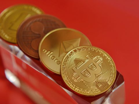 No Retail Crypto-Wide Bull Run Likely for the Rest of Year, Says Bitcoin Birch