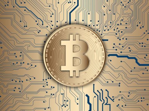 Bitcoin Buzz: Bitcoin Will Go Further Up And Never Go Down From $11K