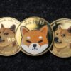 Dog-Themed Meme Coins Record Massive Gains; Here is Why