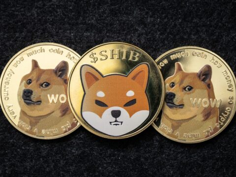 Dog-Themed Meme Coins Record Massive Gains; Here is Why