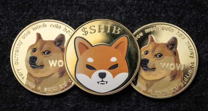 Dog-Themed Meme Coins Record Massive Gains; Here is Why