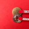 What is Token Burning? - Everything You Need to Know